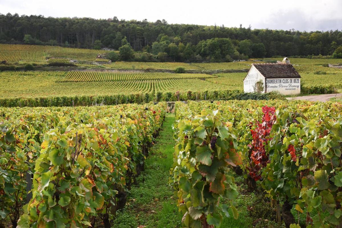 Le Richebourg - Charmant T2 Cosy, Tout Confort Gevrey-Chambertin Bagian luar foto