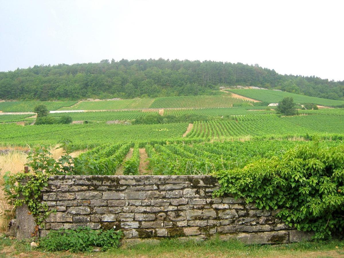 Le Richebourg - Charmant T2 Cosy, Tout Confort Gevrey-Chambertin Bagian luar foto